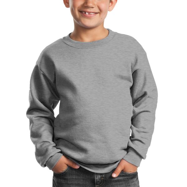 WR Baseball Crewneck Sweatshirt - Youth Thumbnail
